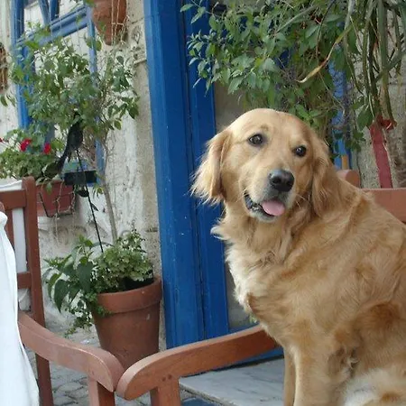 Nuans Мини-отель