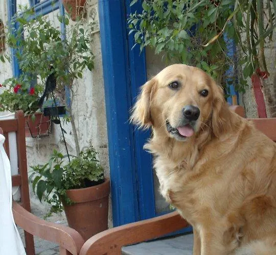 Nuans Hotel- Gasthof